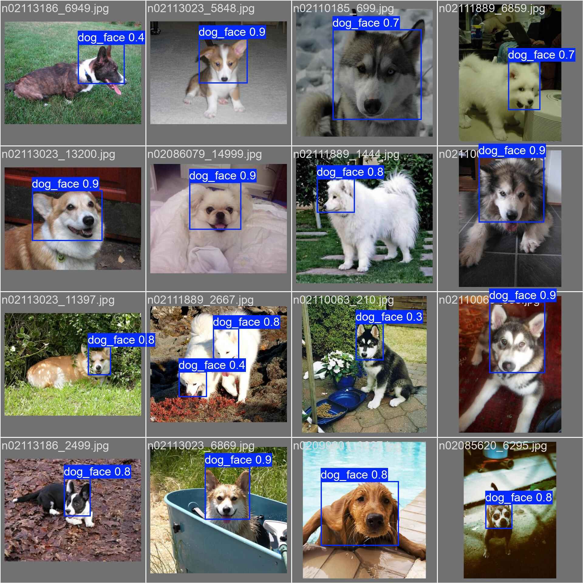 Dog Face Detection using YOLOv8