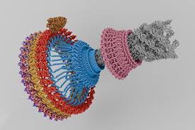 Automated Flagellar Motor Localization in Cryo-ET